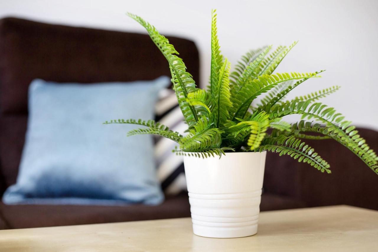Apartamento Tanzanita Costa Calma Ngoại thất bức ảnh